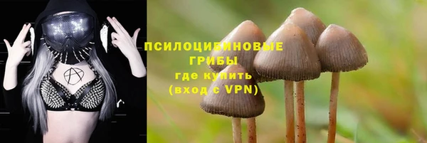 прущая мука Абинск
