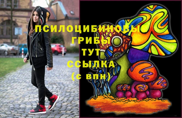 PSILOCYBIN Абдулино