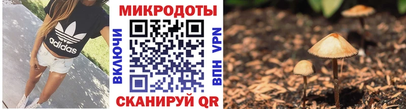Галлюциногенные грибы MAGIC MUSHROOMS Энем