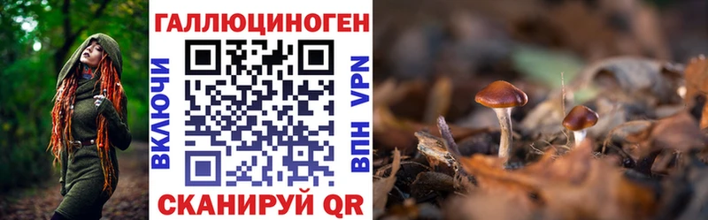 Псилоцибиновые грибы GOLDEN TEACHER  Энем 